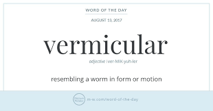 Word Of The Day Vermicular Uncommon Words Word Of The Day Words
