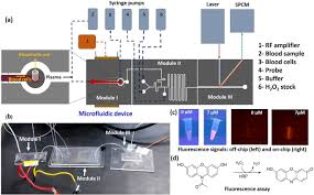 You can change your subscriptions any time in your user settings. Direct And Rapid Measurement Of Hydrogen Peroxide In Human Blood Using A Microfluidic Device Scientific Reports