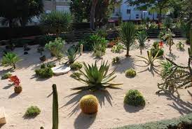 With these sand and gravel landscaping ideas you can transform your backyard into a wonderful a fun idea for summer and fall nights is to add a sand pit to your back yard with a fire pit in the center. Desert Landscaping Ideas Basic Rules To Design A Great Backyard