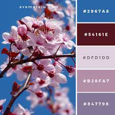 Photo Of Cherry Blossom Color Palette 185 Ave Mateiu Purple Color Palettes Red Colour Palette Color Palette Bright