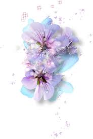 Pin Von Sia Nani Auf Blumen Blumen