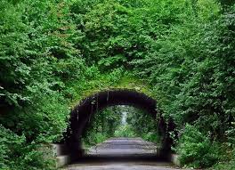 Foto Grunes Ruhrgebiet Geo Reisecommunity Ruhrgebiet Reisen Reisefotografie