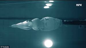 Can bullets go through water? Video Shows Andreas Wahl Fire A Gun At Himself Underwater Daily Mail Online