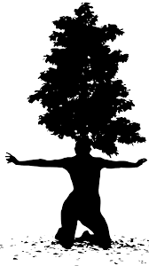 Jika anda sudah menemukan ciri dari batang kelapa seperti diatas maka bisa diolah untuk dijadikan sebagai bahan kontruksi. Svg Pokok Log Kulit Kayu Imej Ikon Svg Percuma Svg Silh