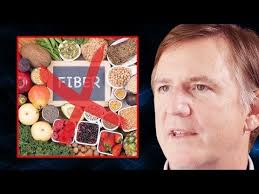 You’ve Been Lied to About FIBER! (This Is the Truth)