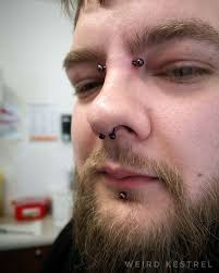 Septum and bridge piercing