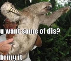 We did not find results for: Funny Sloth Meme By Insanelyalone123 On Deviantart