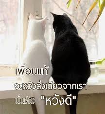ป กพ นโดย wattanachai wannaying ใน ข อค ด คำคม คำคม