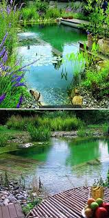 17 Family Natural Swimming Pools You Want To Jump Into Immediately Natural Swimming Pools Natural Swimming Ponds Natural Swimming Pool