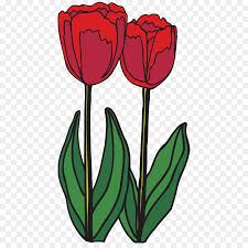 Select from 30079 printable crafts of cartoons, nature how to draw a hibiscus flower step by step. Rose Flower Drawing Png Download 500 888 Free Transparent Tulip Png Download Cleanpng Kisspng