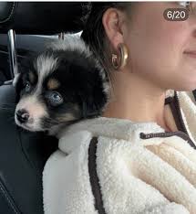 New family member added