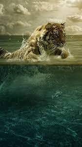 1440x2560 Samsung Htc Lg Mobile Hd Wallpapers 3706zpaz1 Tiger In Water Animals Tiger Wallpaper