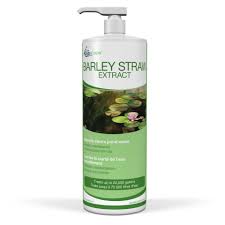 The company natural solutions sells local us barley straw bales for ponds for only $3.50 for 8 oz. Does Barley Straw Work To Treat Pond Algae Splash Supply Company