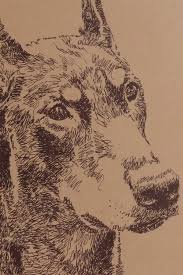 They gain tremendous confidence and the ability to learn and obey no matter what situations they are faced with. Doberman Pinscher Dog Portrait By Stephen Kline Drawdogs By Stephen Kline Drawdogs By Stephen Kline Custom Dog Art Portraits Paintings Drawn From Words