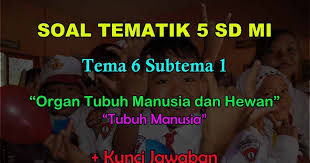 45 Soal Tema 6 Kelas 5 Organ Tubuh Manusia Dan Hewan Jawaban Muttaqin Id