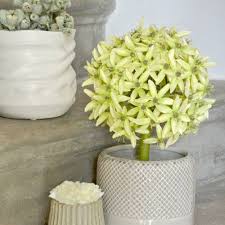 Highly striking, adorable and dramatic, our artificial allium flowers are some of the most captivating ones around. Ornamental Onion Allium Silk Flower Artificial Ball Leek Green O20cm L72cm 11912 Buy Online