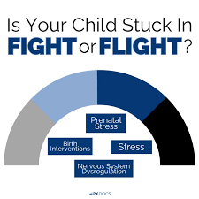 Image result for Sympathetic Nervous System
