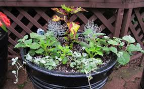 Here's how to get it right. How To Grow Fruits Vegetables And Herbs In A Container Garden Modern Farmer
