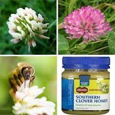 Pin On Honey Benefits