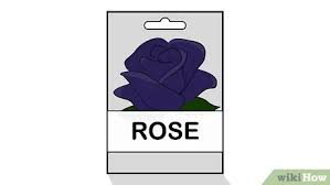 Mawar hitam memang tidak seterkenal jenis bunga mawar lainnya, bahkan banyak orang yang cantik dan unik sekali bukan 50 gambar bunga mawar hitam atas? 3 Cara Untuk Menanam Mawar Hitam Wikihow