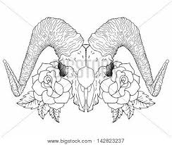 Black white and color hand drawn zentangle animal. Vintage Stylized Goat Vector Photo Free Trial Bigstock