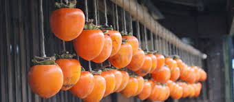 Maybe you would like to learn more about one of these? Growing Persimmons From Seed An Unusual Fruit For Your Homestead