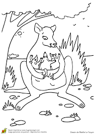 page 57 sur 114 hugolescargot com maman kangourou coloriage fete des meres de nicolas