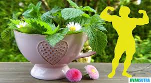 Like a flower in gloom, you lie helpless. Health Quotes In Hindi à¤¸ à¤µ à¤¸ à¤¥ à¤¯ à¤ªà¤° à¤…à¤¨à¤® à¤² à¤µ à¤š à¤°