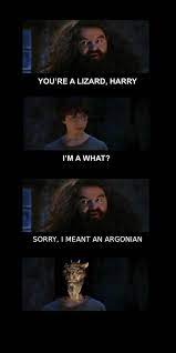 Maybe you would like to learn more about one of these? You Re An Argonian Harry The Elder Scrolls Harrypotter