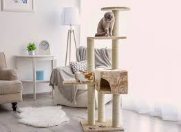The best cat tree for large cats. 5 Best Cat Trees For Large Cats Review 2021 Lelu Bobo