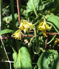 We did not find results for: Earthbox Update Wk06 Kurt R A Giambastiani