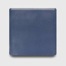 Image result for Holubia