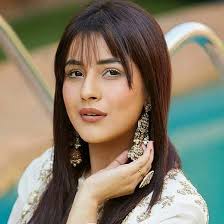 Download Creedence Clearwater Revival