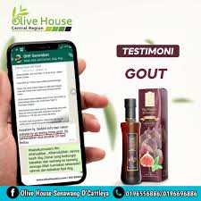 Tin adalah tumbuhan yang dapat menghasilkan buah yang memiliki begitu banyak khasiat dan manfaat. Khasiat Buah Tin Cuka Buah Tin Olive House Senawang Facebook