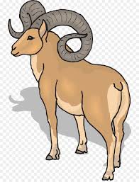 Animal Cartoon Clipart Sheep Goats Nose Transparent Clip Art Every day new 3d models from all over the world. sheep goats nose transparent clip art