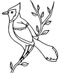 Set up a table outside and keep kids of all ages occupied with these spring pictures to color. Easy Blue Jay Coloring Page Free Printable Coloring Pages For Kids