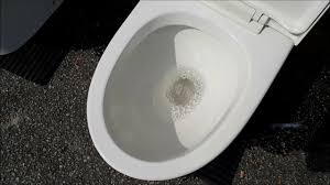 These sentences come from external sources and may not be accurate. Toilet Bowl Flush Washdown Or Siphonic Youtube