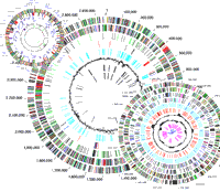 Whats A Genome