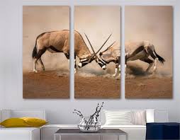 See 21,585 antelope art prints at freeart. Gemsbok Fight Canvas Print Wall Art Antelope Duel 3 Panel Split Canvas Quest