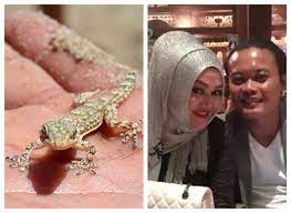 Check spelling or type a new query. Sule Ngaku Berfirasat Janggal Hingga Kejatuhan Cicak Sesaat Sebelum Lina Meninggal Dunia Benarkah Mitos Kejatuhan Cicak Pertanda Bakal Ketiban Sial