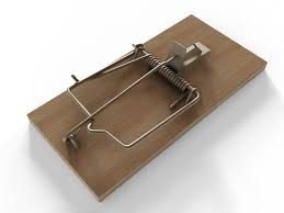 Mouse Trap Mouse Traps Rat Traps Homemade Mouse Traps