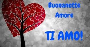 Buonanotte Amore B Tu Veux Plus Ecouter De La Musique Avec Moi Avec Des Jolies Pensees Buonanotte Amore Ti Amo