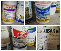 We did not find results for: Racun Serangga Pilihan Petani Untuk Bena Perang Ppkh2kepalabatas