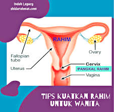 Makanan yang kaya dengan zink dapat memantapkan kilang sperma. Tips Kuatkan Rahim Untuk Wanita Shidarahmat