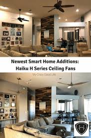 Polished brass ceiling fan with 5 blades: Haiku Fan Review Haiku H Series Ceiling Fans My Crazy Good Life