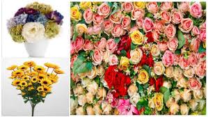 Choose from a huge selection of artificial flowers in uae at best prices. Get Best Artificial Flowers Online In Australia