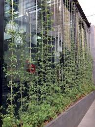 38 Incredible Vertical Garden For Green And Cool House Vertical Garden Vertical Herb Garden Urban Garden