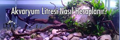 Akvaryum Litresi Nasil Hesaplanir