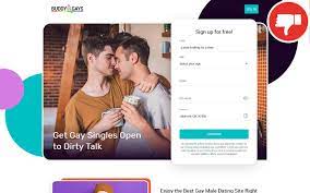 BuddyGays.com Review - Scam June 2023 - Fake check | DatingSpot24.com