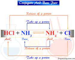 Thearrhenius definition of an acid is a species that produces a proton (h+) in water. Conjugate Acid Base Pair Definition Examples List Priyamstudycentre